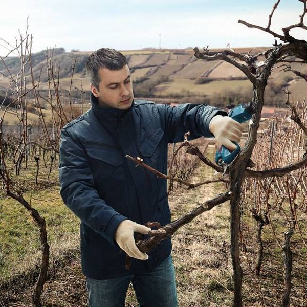 Секатор Bosch Pro Pruner аккумуляторный (06019K1021) 0.601.9K1.021 фото
