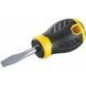 Викрутка ESSENTIAL довжиною 30 мм під шліц SL6.5 STANLEY STHT0-60401 STHT0-60401 фото 1
