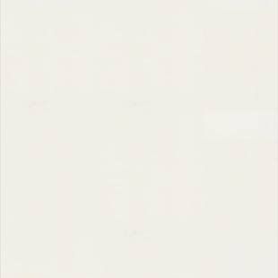 Лінолеум Tarkett WALLGARD Wallgard WHITE 165083 фото