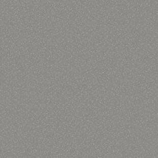 Лінолеум Tarkett SPARK A 11 (2m) 127041 фото