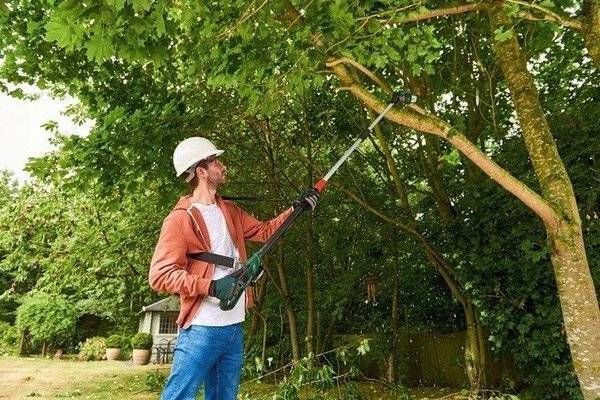 Висоторіз ланцюговий акумуляторний Bosch UniversalChainPole 18 (0.600.8B3.100) 0.600.8B3.100 фото