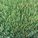 Спортивна штучна трава Prettie grass Mundial 6014 60 мм 578349 фото 1