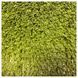 Спортивна штучна трава Prettie grass MULTISPORT 20 4.0m 524903 фото 1