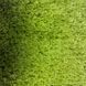 Спортивна штучна трава Prettie grass MULTISPORT 20 4.0m 524903 фото 3
