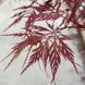 КЛЕН ПАЛЬМОЛИСТИЙ 'ФАЙРКРЕКЕР' (Acer palmatum Firecracker) 01.001.032 фото 2