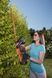 Кусторез Black&Decker BCHTS3625L1, 36В BCHTS3625L1 фото 5