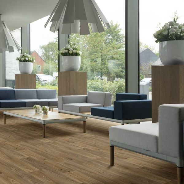 Линолеум Beauflor Ambient Gambel Oak 662M 2.0m 181529 фото