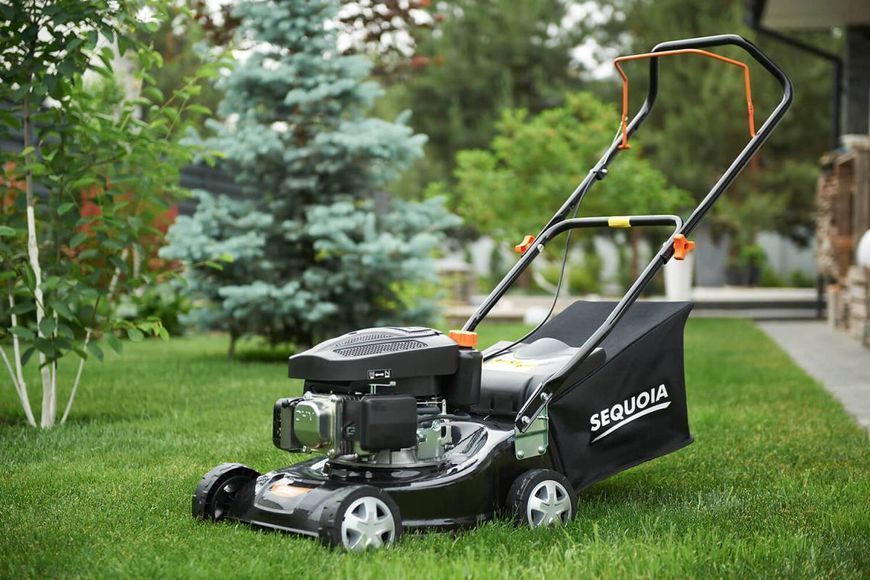 Газонокосарка SEQUOIA SPLM3040 SPLM3040 фото