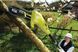 Высоторез Ryobi RPP750S 5133002228 фото 2