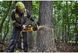 Пила ланцюгова акумуляторна безщіткова DeWALT DCMCS575X1 DCMCS575X1 фото 6