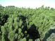 02.003.2600 фото 3