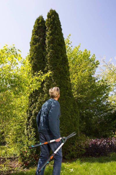 Ножницы для живой изгороди Gardena TeleCut телескопические (12304-20.000.00) 12304-20.000.00 фото