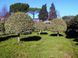 Падуб гостролистий Argentea Marginata (Ilex aquifolium Argentea Marginata) 01.048.036 фото 1