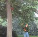 Высоторез BLACK+DECKER GPC1820L20 GPC1820L20 фото 7