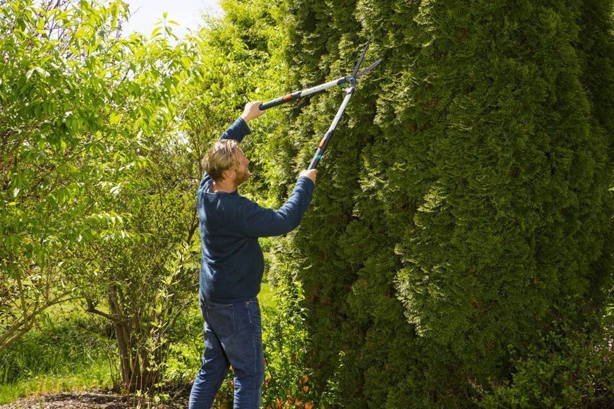 Ножницы для живой изгороди Gardena TeleCut телескопические (12304-20.000.00) 12304-20.000.00 фото