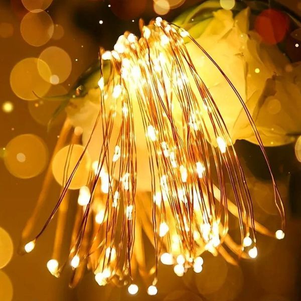 Светодиодная гирлянда ColorWay (CW-G-50L5NB) 50LED, 5м, 8 функций, теплый цвет 3AA CW-G-50L5NB фото
