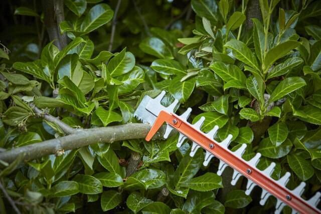 Кущоріз електричний BLACK+DECKER BEHTS551 BEHTS551 фото