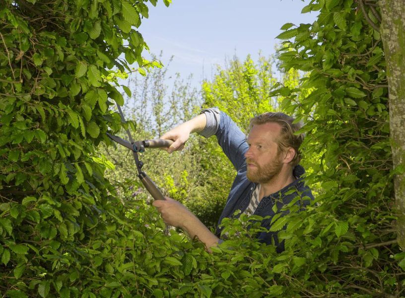 Ножиці для живоплоту Gardena NatureCut (12300-20.000.00) 12300-20.000.00 фото