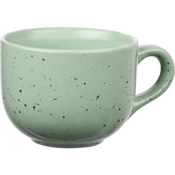 Чашка Ardesto Bagheria 480 мл, Pastel green (AR2948GGC) AR2948GGC фото