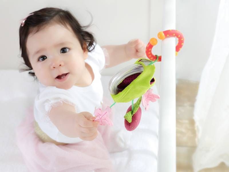 Клипса для коляски sigikid Клубничка (41885SK) 41885SK фото