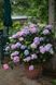 01.034.098 фото 1
