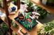 Конструктор LEGO Icons Тихий сад 1363 деталі (10315) 10315 фото 5