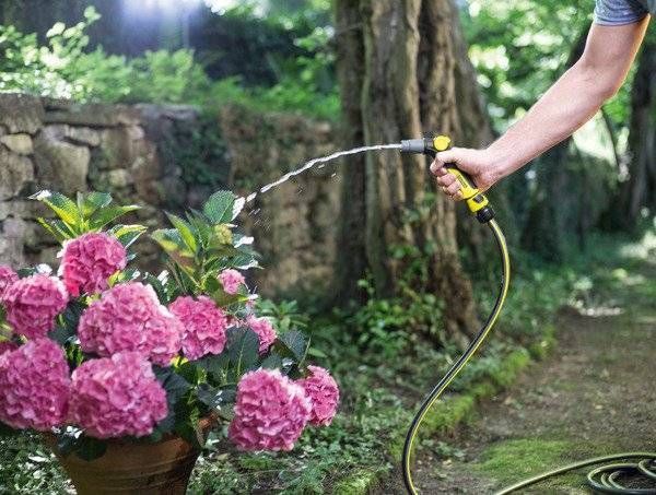 Шланг садовый Karcher Performance Plus, 1/2", 50м, до 40 Бар, -20&hellip;+60&deg;C 2.645-319.0 фото