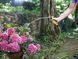 Шланг садовый Karcher Performance Plus, 1/2", 50м, до 40 Бар, -20&hellip;+60&deg;C 2.645-319.0 фото 3
